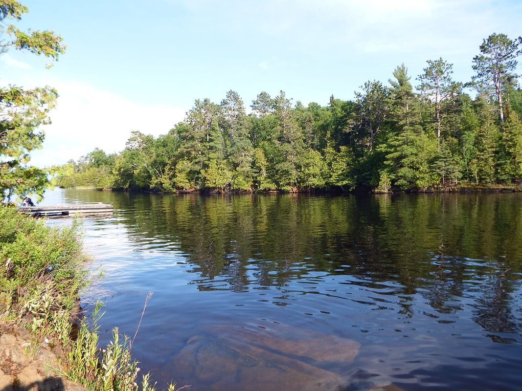 a body of water surrounded by trees