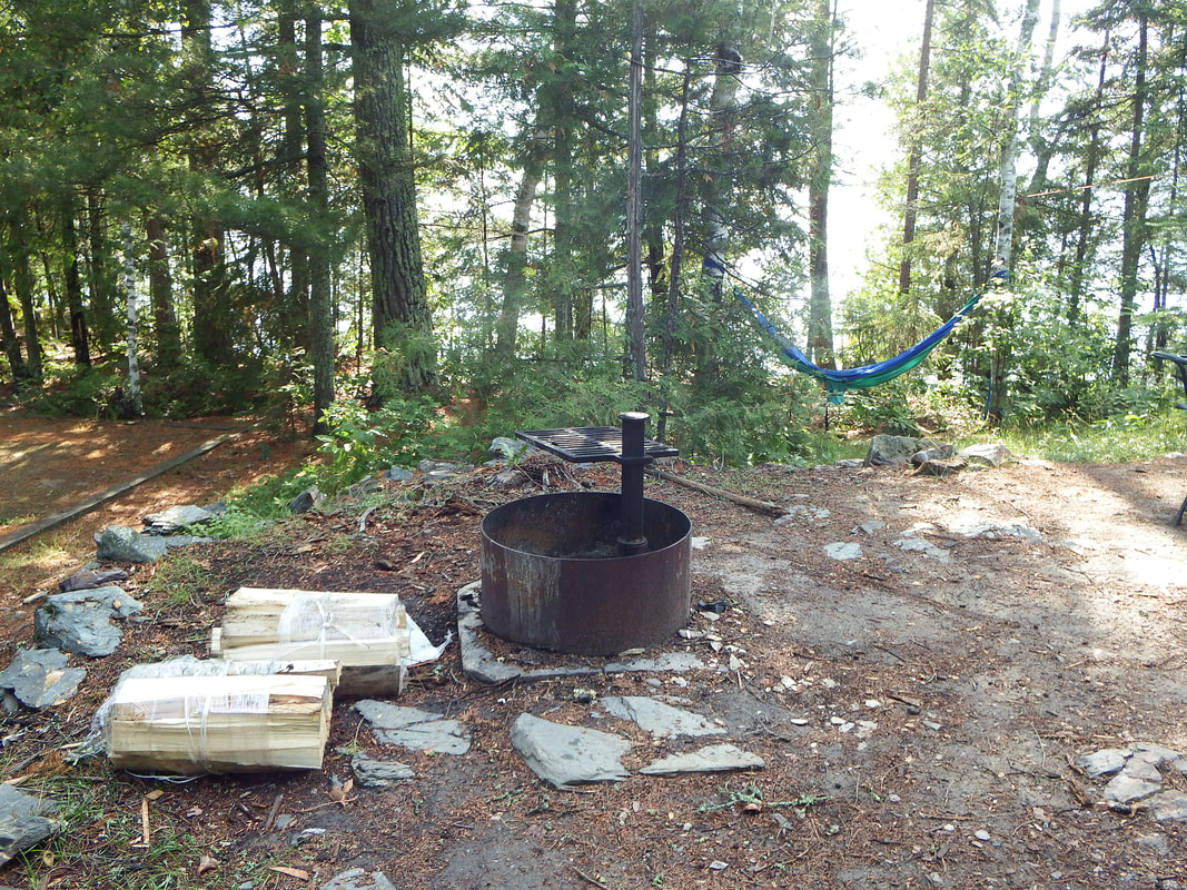 a wooden statue in a forest